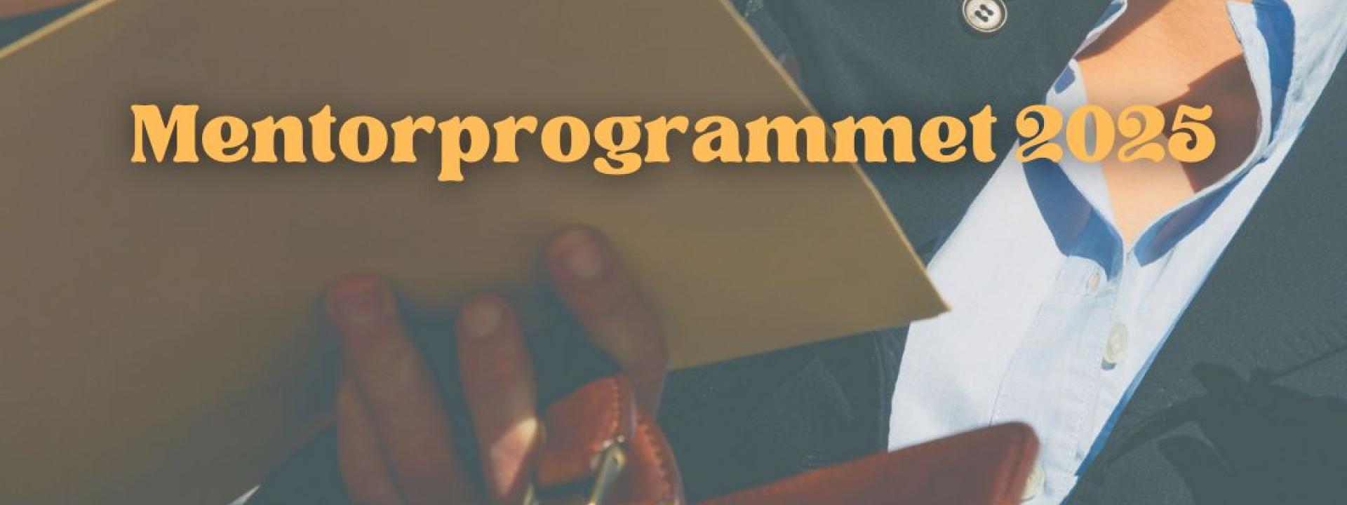 Mentorprogrammet 2025